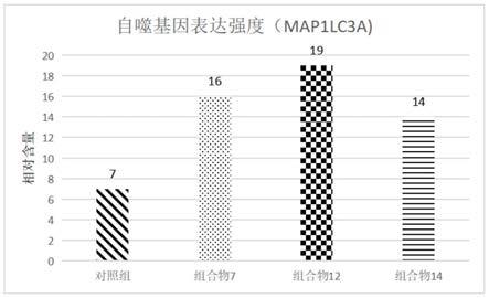 一种抗衰老植物提取组合物及其制备与应用的制作方法