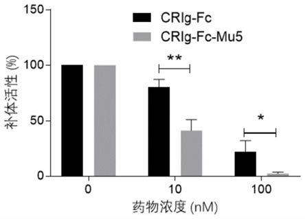 CRIg功能区蛋白变体及其应用的制作方法