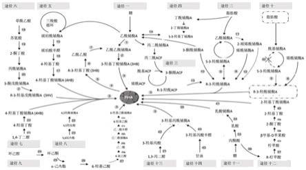 一种以低盐培养基培养嗜盐菌生产PHA的方法与流程