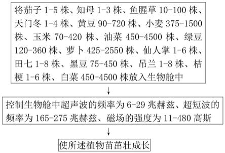 16种植物苗茁壮成长方法与流程