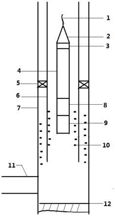 用于储气库的井筒结盐监测装置及方法与流程