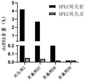 一种RNA的制备方法、合成蛋白质的方法以及转录反应液与流程