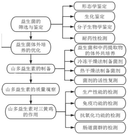 一种复合益生素及其制备方法与流程