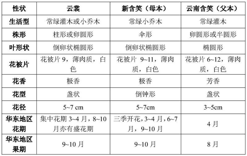 一种含笑新品种的选育方法与流程