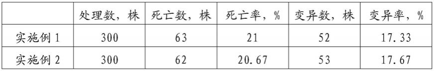 一种利用化学诱变剂培育蔷薇变异新品种的方法