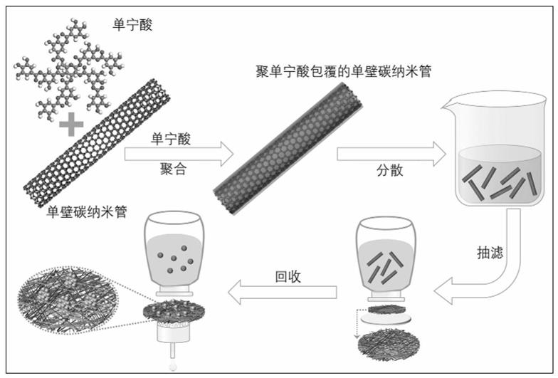 一种基于聚单宁酸包覆碳纳米管复合膜高效回收金的方法