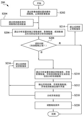 植物状态判断方法与流程