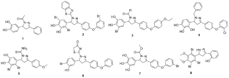 溴酚-吡唑啉化合物在治疗猫冠状病毒疾病中的应用的制作方法