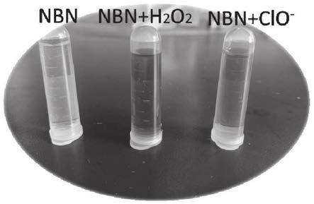 三苯胺衍生物在检测过氧化氢和/或次氯酸根中的应用的制作方法
