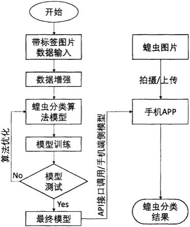 草原蝗虫智能识别系统及识别方法与流程