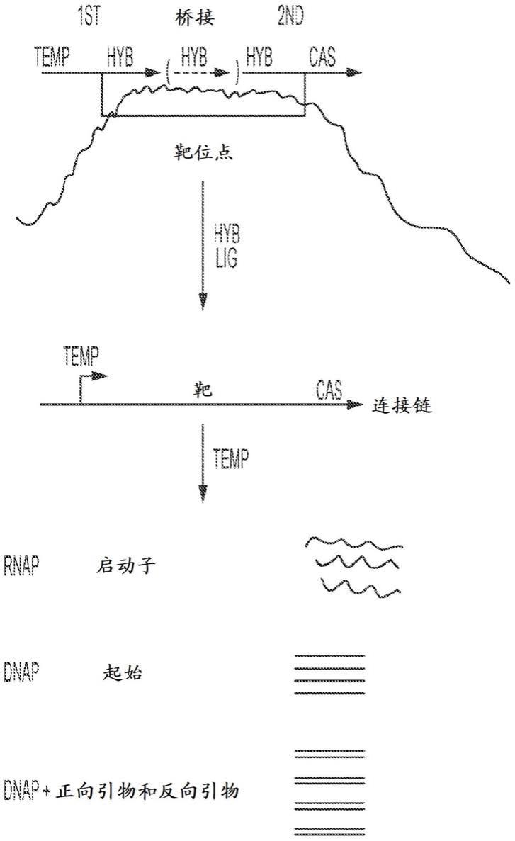 系统的制作方法