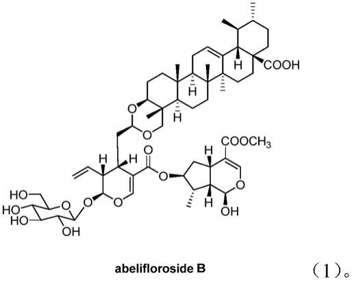 天然三萜-环烯醚萜苷二聚体杂合物在制备乙酰辅酶A羧化酶1抑制剂中的用途的制作方法