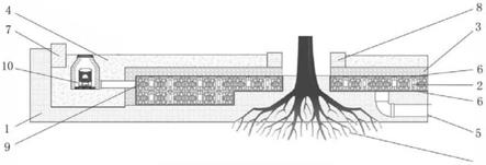 一种可防止树根破坏并保护树木的路面结构的制作方法