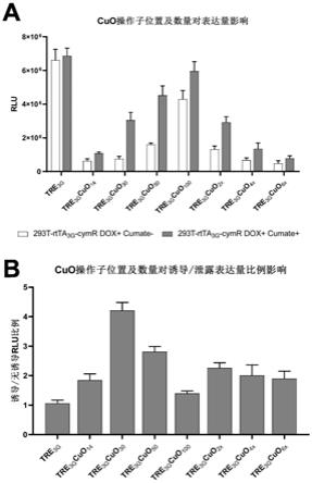 基于四环素和Cumate的共调控序列的制作方法