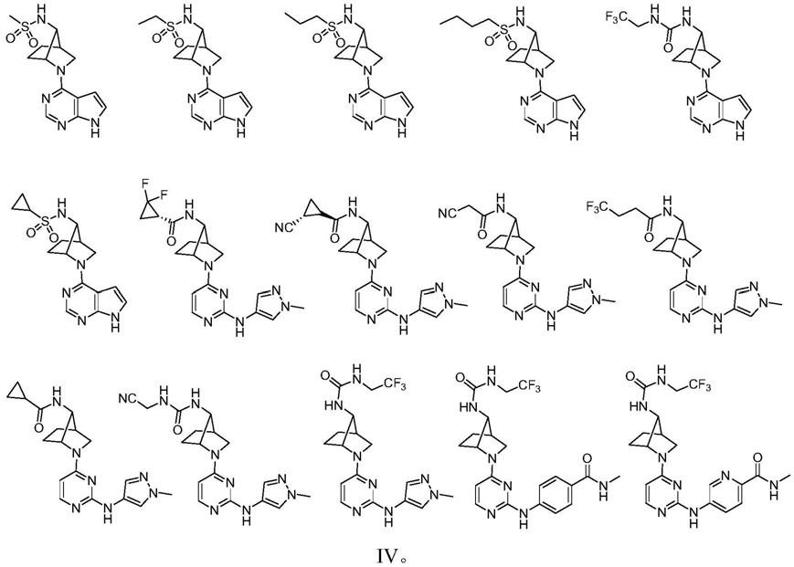 (1R,4R,7R)-7-氨基-2-氮杂双环[2,2,1]庚烷衍生物及制备方法与流程