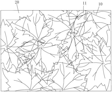 一种植物叶子面料的制作方法