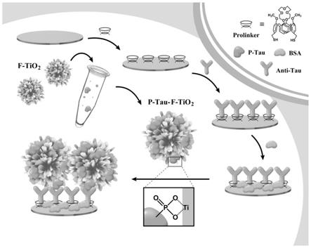 一种P-tau检测免疫传感器及其制备和应用方法