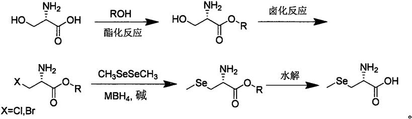 一种L-硒-甲基硒代半胱氨酸的合成方法与流程