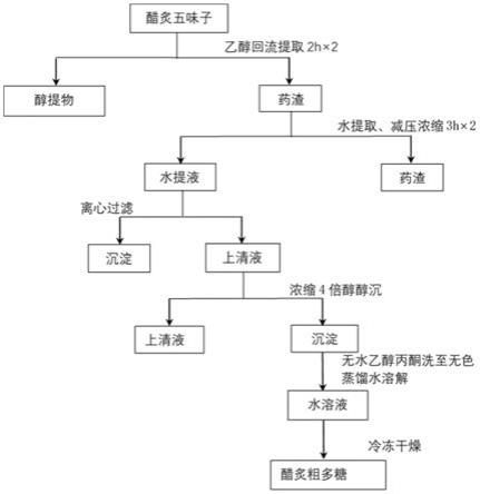 醋炙五味子多糖提取物在制备治疗糖尿病的药物中的应用的制作方法