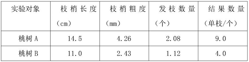 一种多雨地区的桃树整形方法与流程