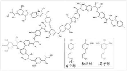 食物和添加剂组合物，以及木质素和添加剂组合物的用途的制作方法