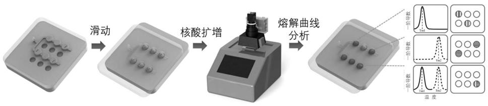 一种基于熔解曲线的多重数字核酸分析装置和分析方法