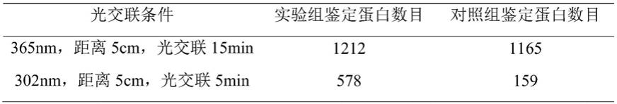 SVCV的宿主细胞膜结合蛋白的捕获方法和捕获试剂与流程