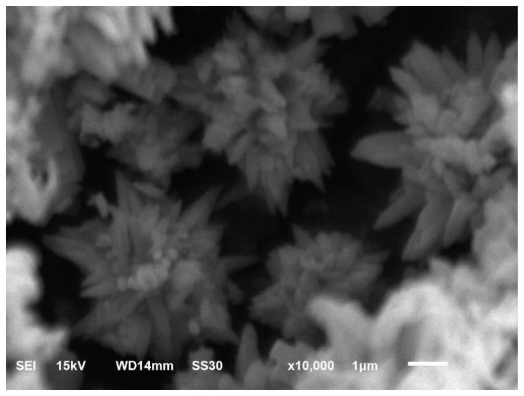 一种掺杂稀土金属Ce的花瓣状ZnO光催化剂及其制备方法