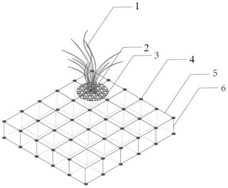 一种沉水植物网格式模块化种植载体及方法和装置与流程