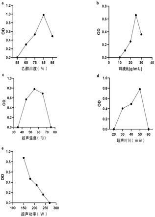 一种砂生槐子生物碱提取工艺