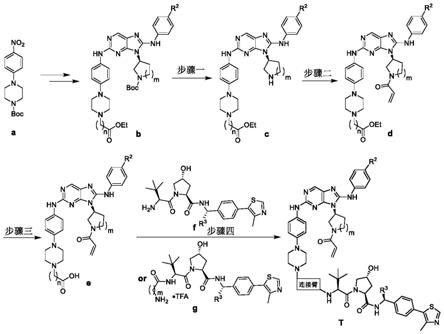 含有2,8,9-三取代-9H-嘌呤结构片段的EGFR降解剂及其盐和应用的制作方法