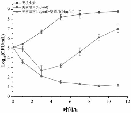 氨磷汀作为NDM-1抑制剂或抗生素保护剂的新用途