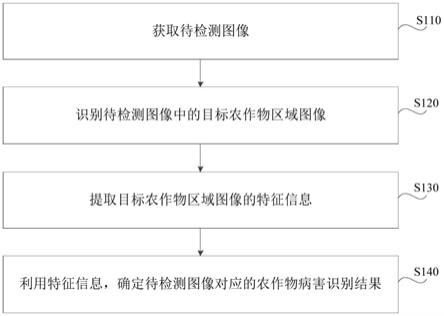 一种农作物病害识别方法、装置、电子设备及存储介质与流程