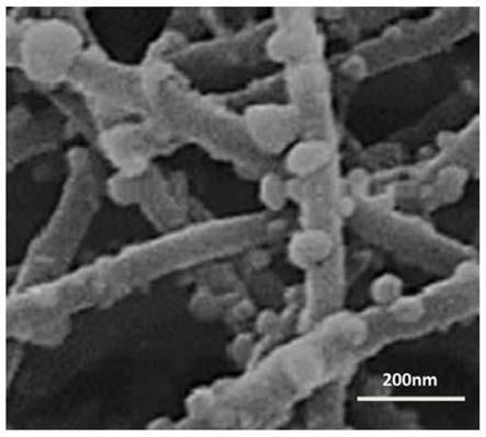 抗菌抗病毒高分子材料及所得空调器过滤网和空调器的制作方法