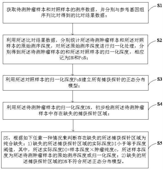 检测纯合缺失的方法和装置与流程