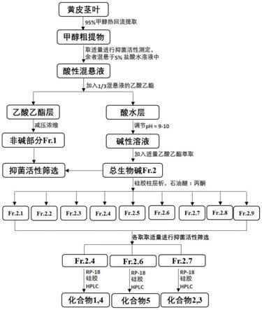 一种黄皮生物碱的制备方法与应用