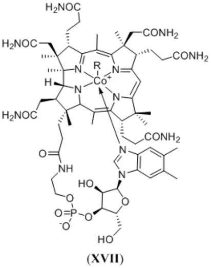 烟酰胺核苷、烟酸核苷、还原型烟酰基核苷化合物和烟酰基核苷化合物衍生物在制品的用途的制作方法