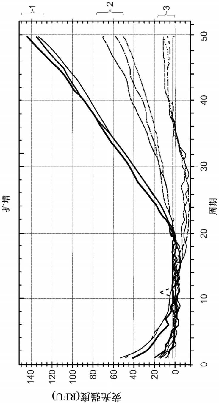 检测位于生物全血中血细胞外侧的至少一种核酸的体外方法以及用于该目的的装置和试剂盒与流程