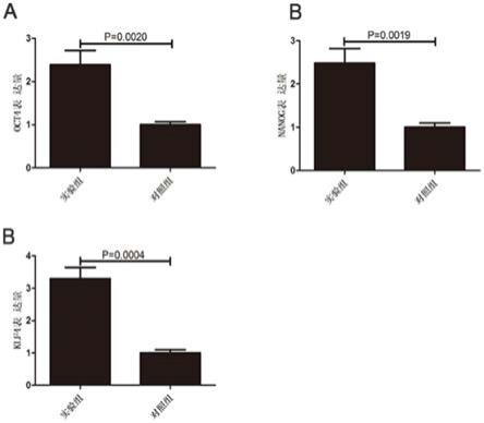 Nigroain-E1多肽在维持脂肪干细胞干性中的应用的制作方法