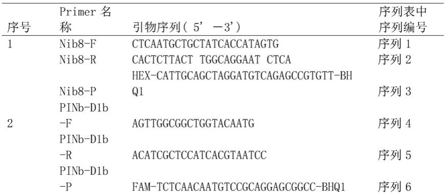 采用优化的数字PCR方法分析小麦基因拷贝数的方法与流程