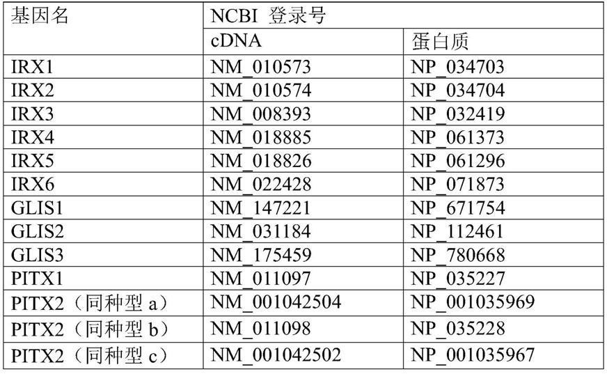 使用iPS细胞生产成骨细胞构建体的方法