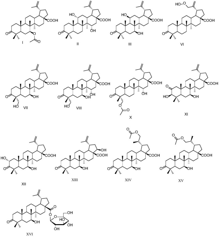 白桦脂酮酸衍生物在制备治疗心血管疾病的药物中的应用