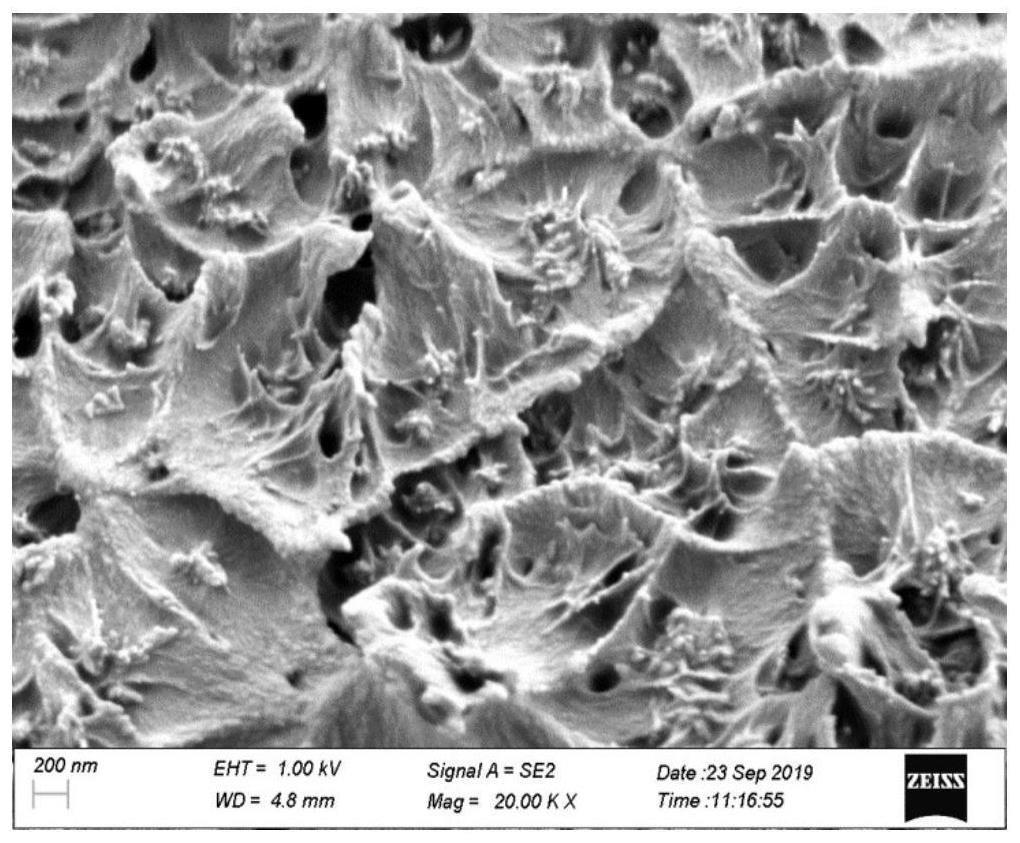无定形聚芳醚酮（砜）-羟基磷灰石3D打印材料的制备的制作方法