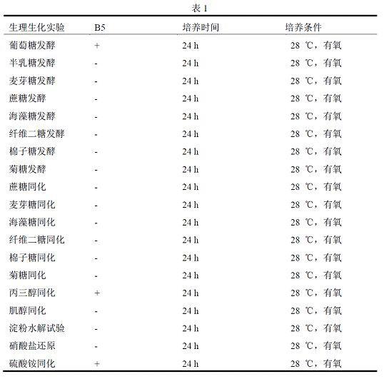 一株降解有机酸的酵母菌株及其应用