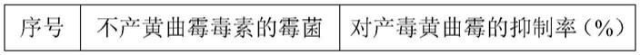 一种复合菌剂及其检测方法、复合菌制剂及其用途