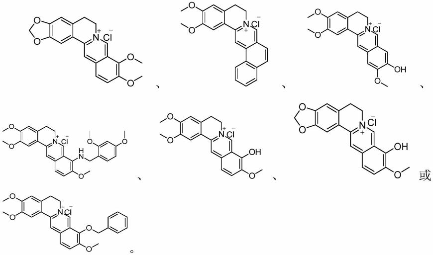 小檗碱类化合物在制备抗肿瘤药物中的应用