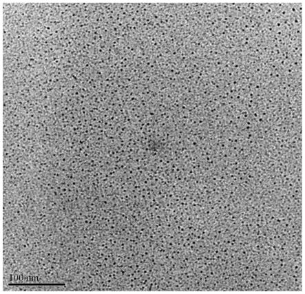 一种荧光碳量子点在检测环烷酸中的应用及环烷酸的检测方法