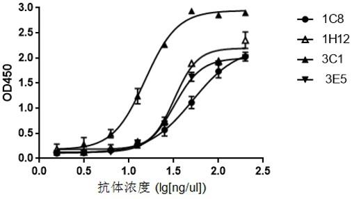 一种特异性结合CD276的抗体或其抗原结合片段及其制备方法和应用与流程