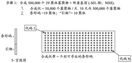 用于发现和分析治疗剂的平台的制作方法