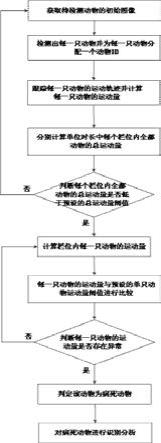 一种精准检测动物个体健康的方法及系统与存储介质与流程